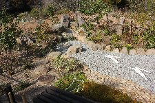 和風庭園 滝組みから流れの庭②